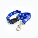 Dog Collar & Lead